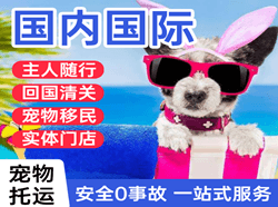 新郑航空运输国际宠物托运 【国